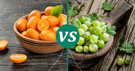 Kumquat vs Gooseberry.